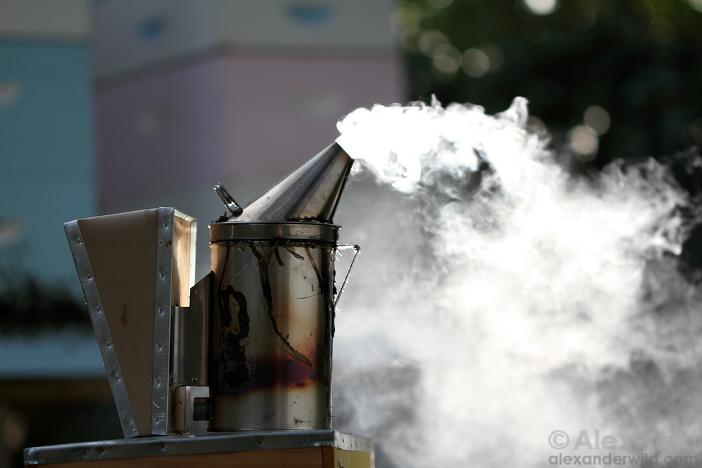 Friday Fun Facts – Smoking Bees