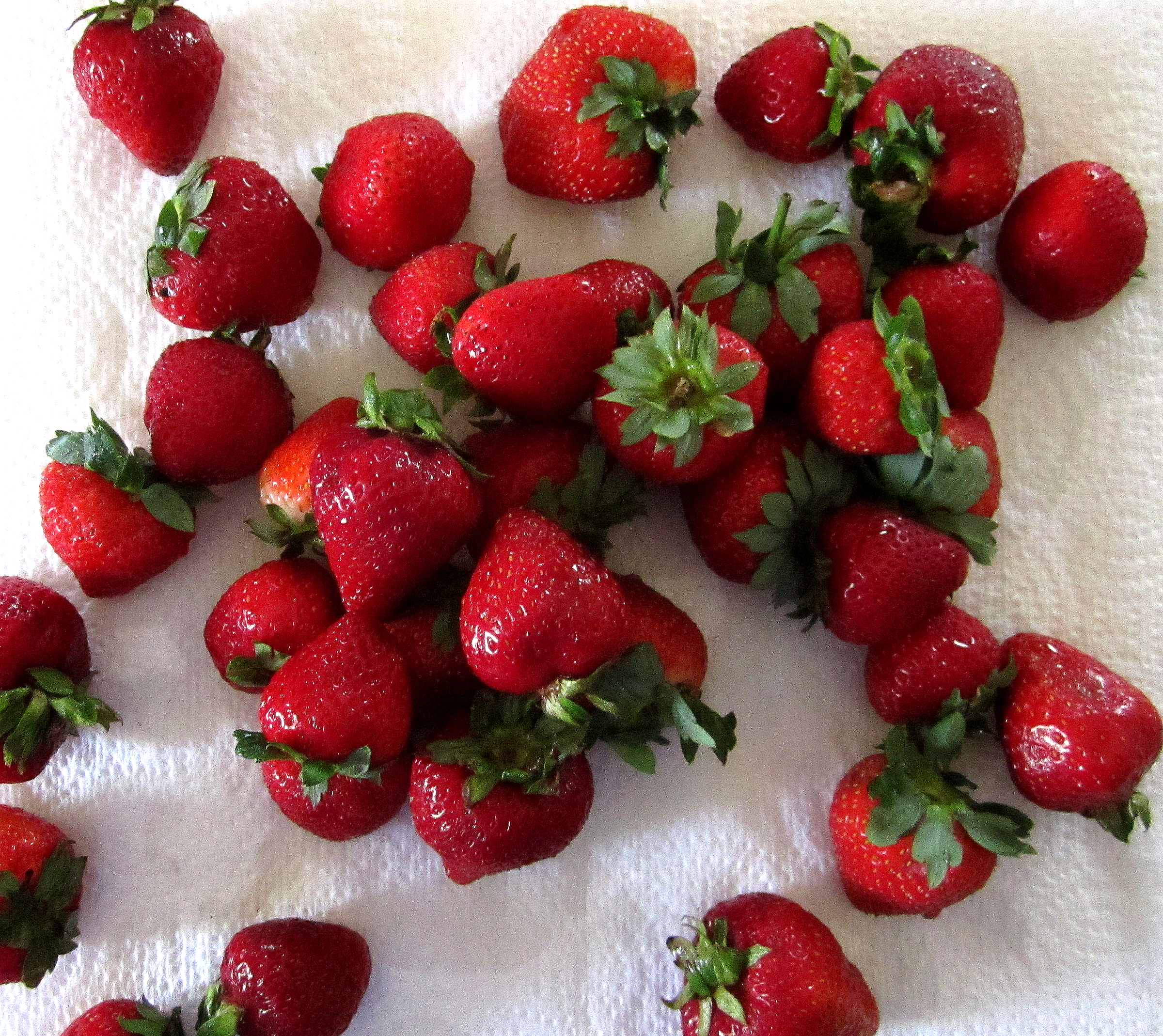 What Have You Done To The Last of Summer’s Strawberries?