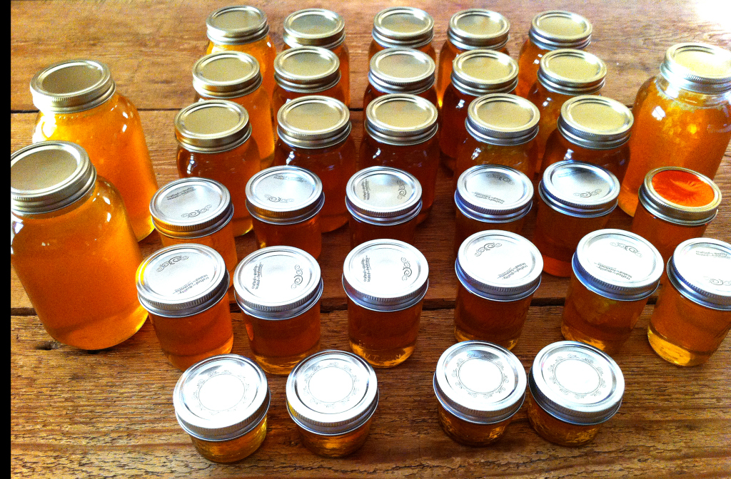 Honey Harvest News