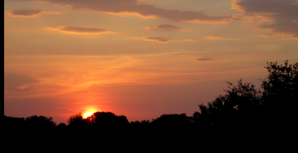 Feasting On Fresh Figs & A Sunset