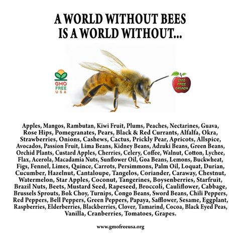 Without Bees