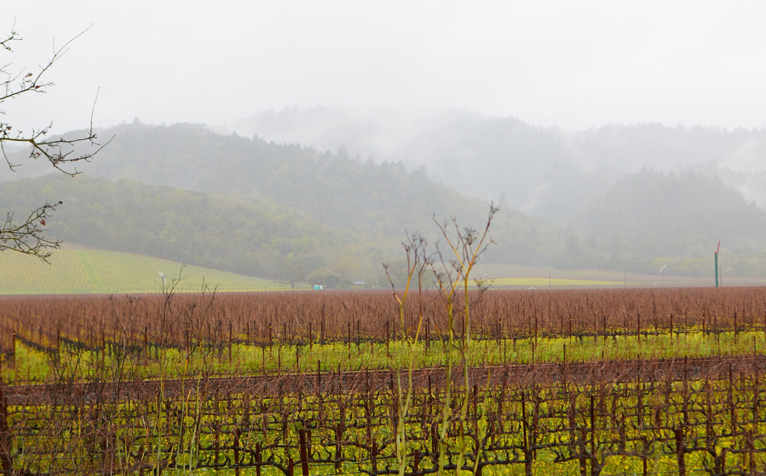 A Week In Napa – Part 3