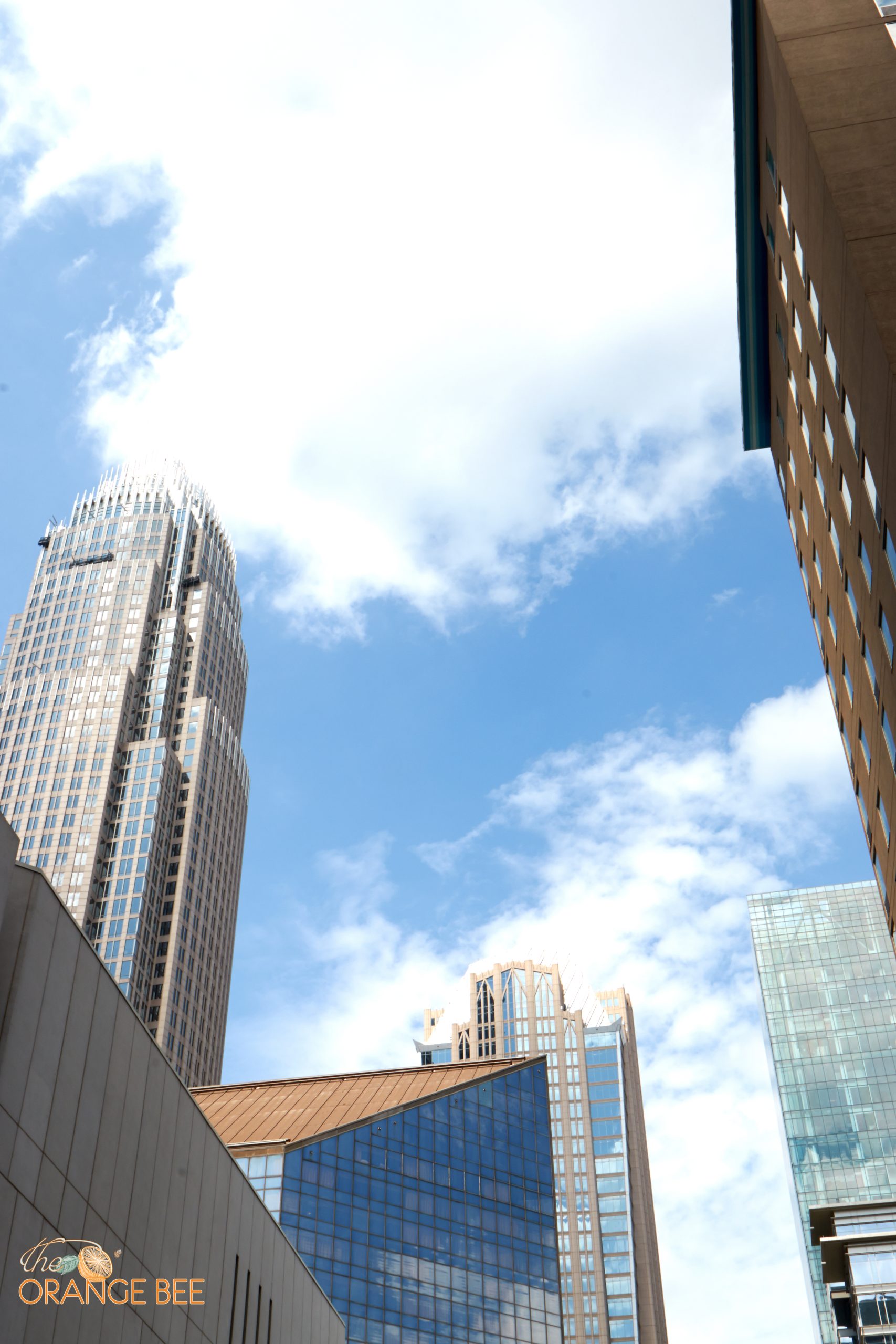 Food Tour – Charlotte