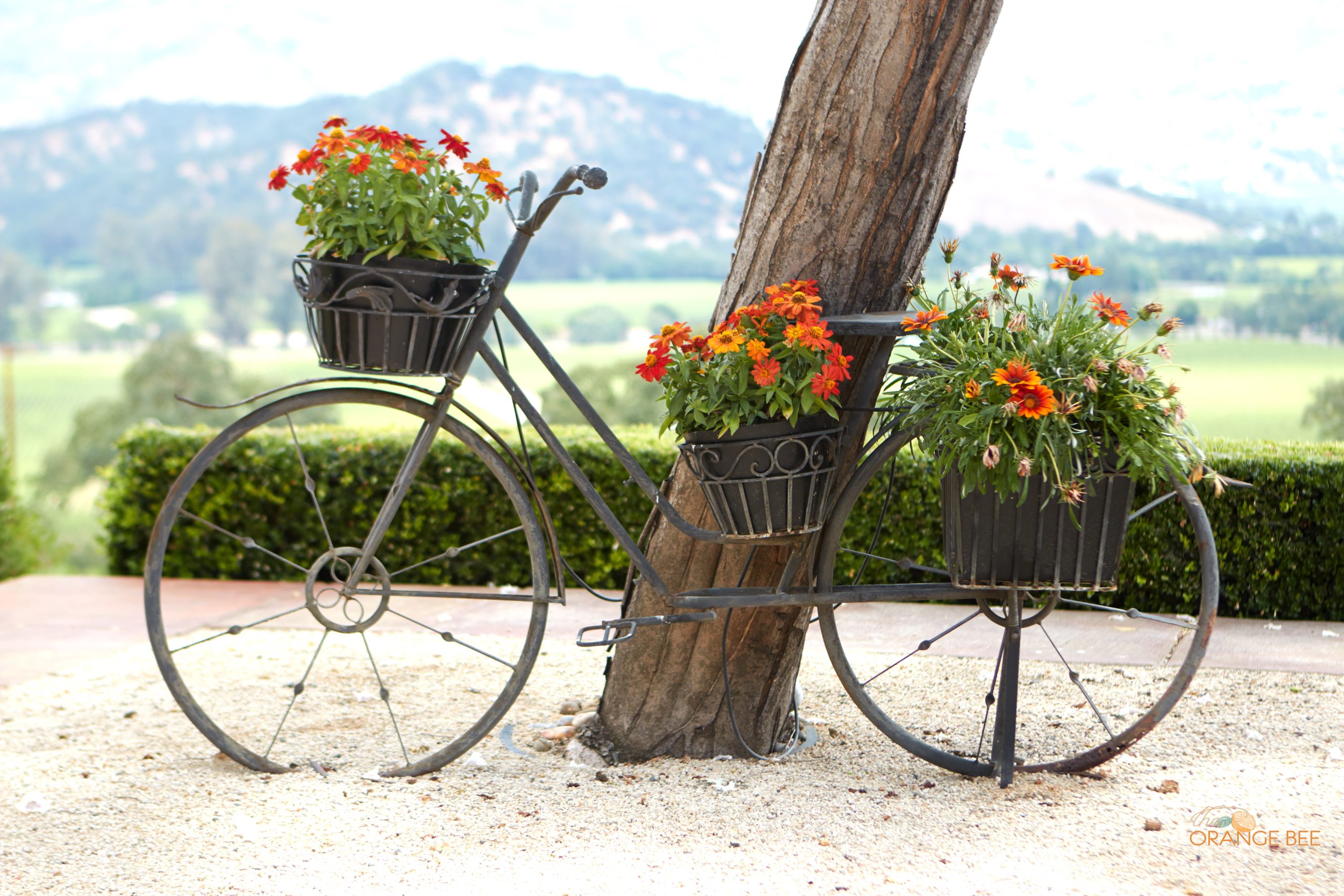 Keever Vineyards – Wine Tasting