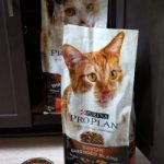 Christmas Cookie Exchange Across America