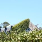 Wine Tasting At Elizabeth Spencer