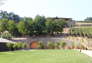 B Cellars A Wine & Food Pairing