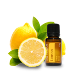 How to Clean Cat Pee From A Wool Rug